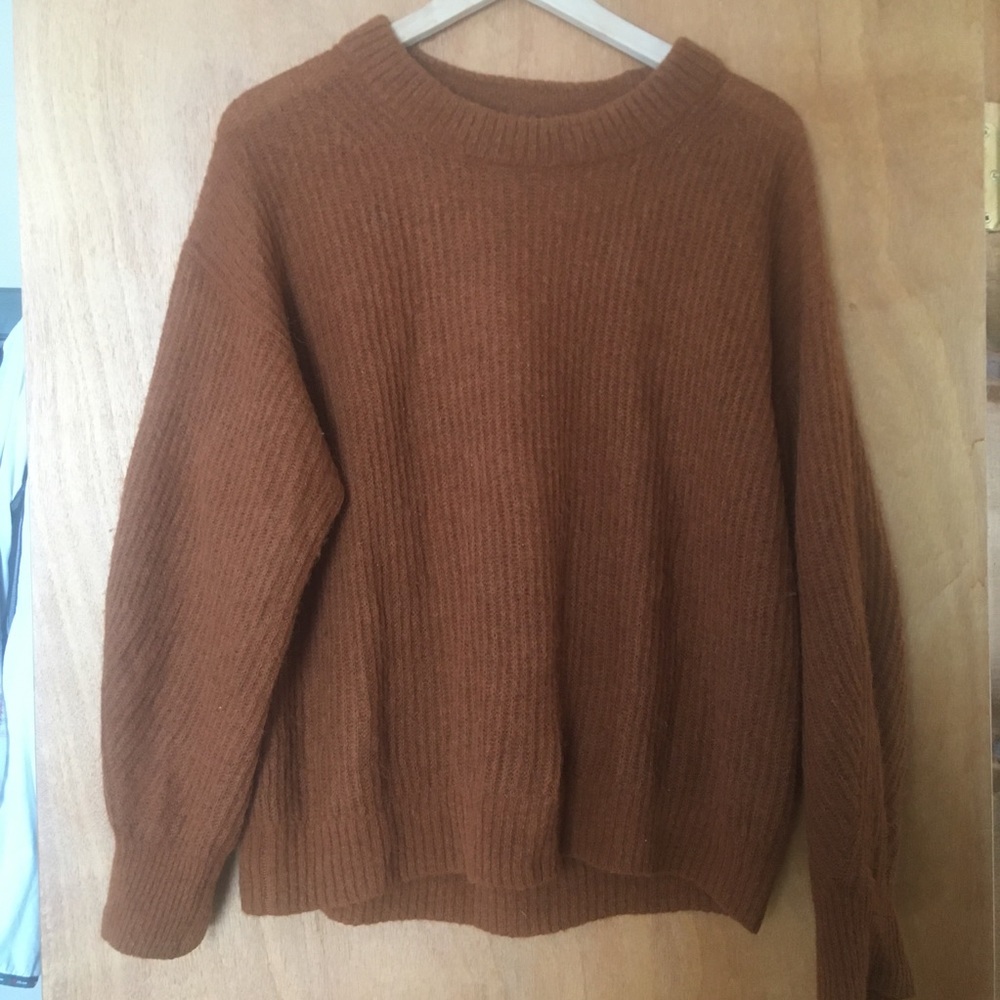 Everlane Oversize Alpaca Crew